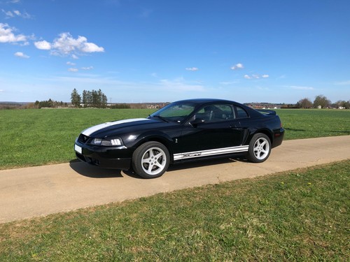 Ford mustang svt cobra - mustang,